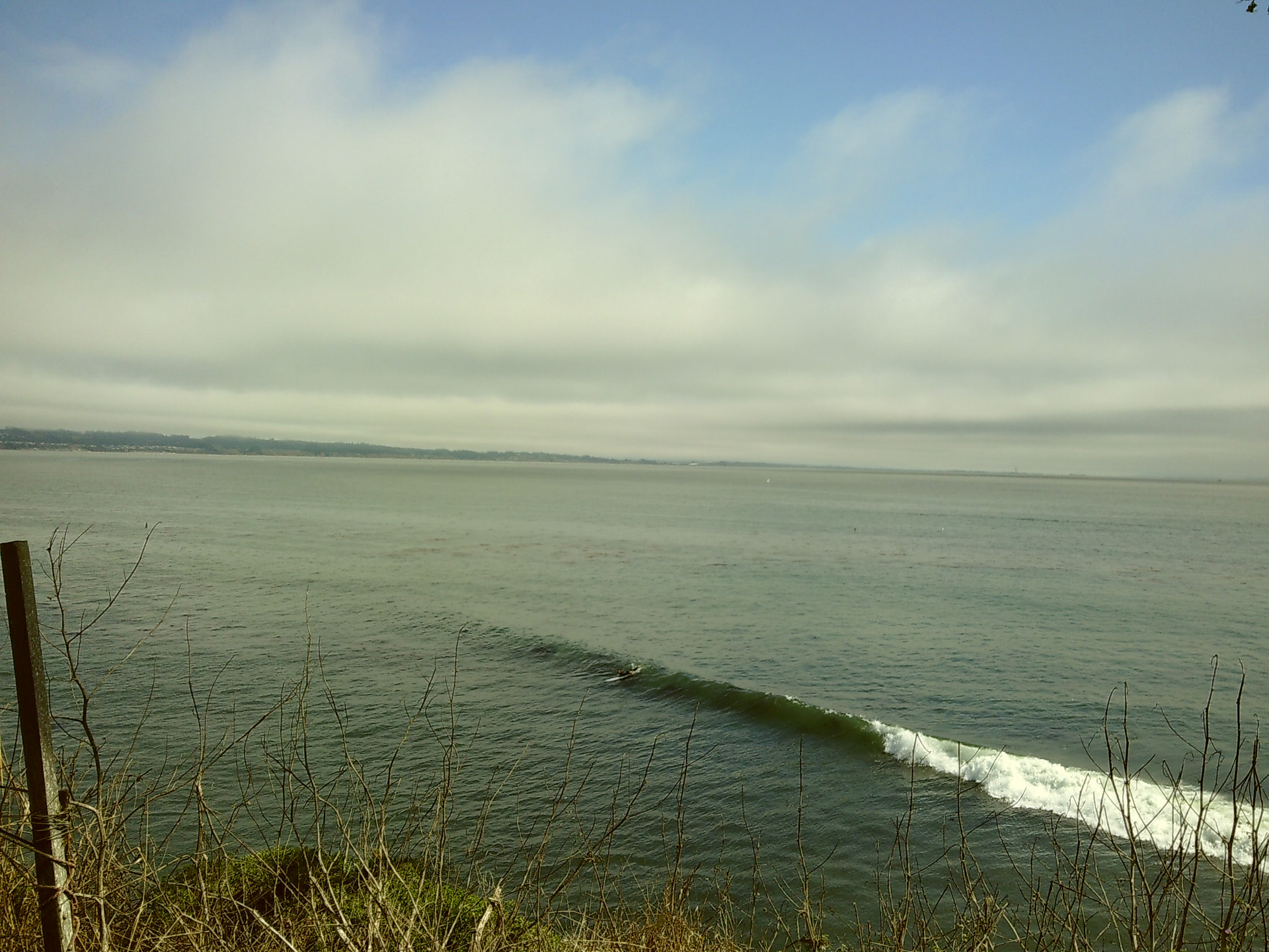A clean wave rolling along the Santa Cruz coastline under a pale blue sky